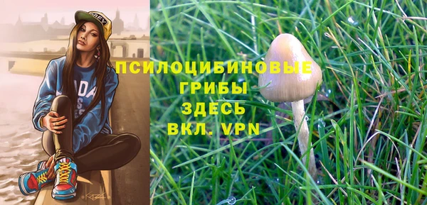 ешки Армянск