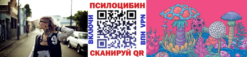 гидра рабочий сайт  Злынка  Псилоцибиновые грибы Psilocybine cubensis 